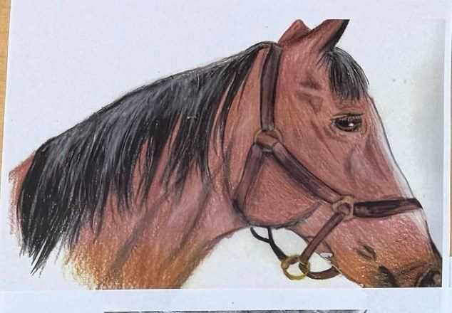 Teen artwork: animal study