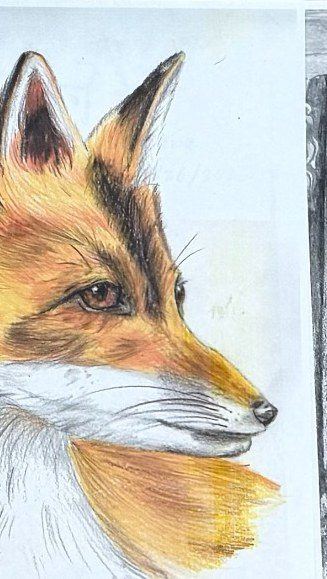 Teen artwork: fox study